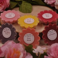 Haus of Gloi Wax Tart Haus of Gloi Wax Tart